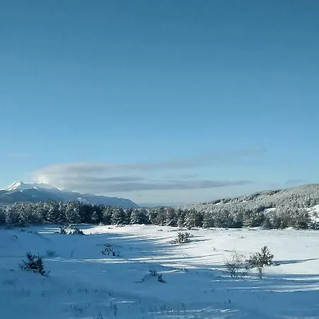 Velebita Vikendica *
